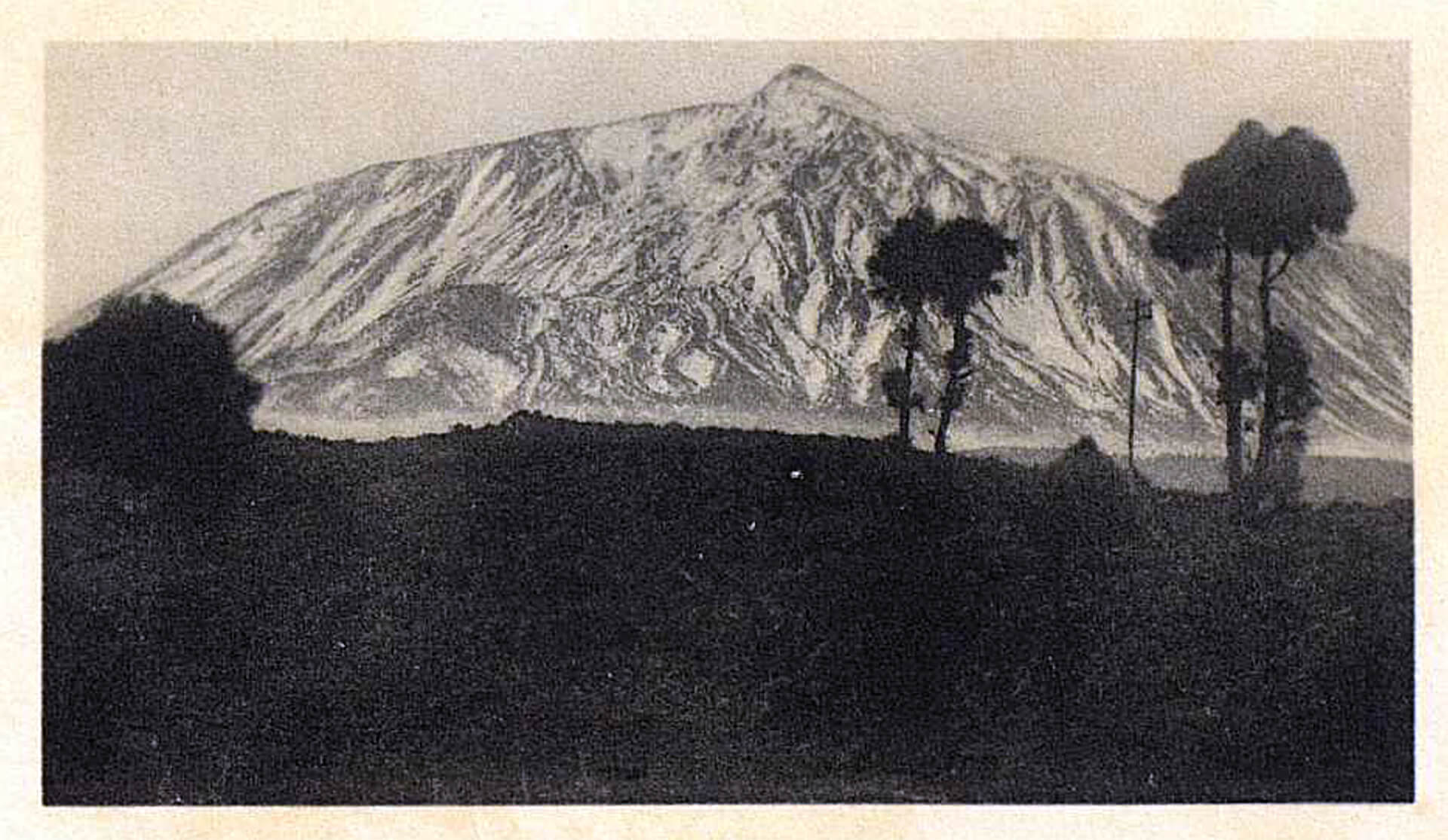 Catherina Godwin: Pitón, Tenerife 1925