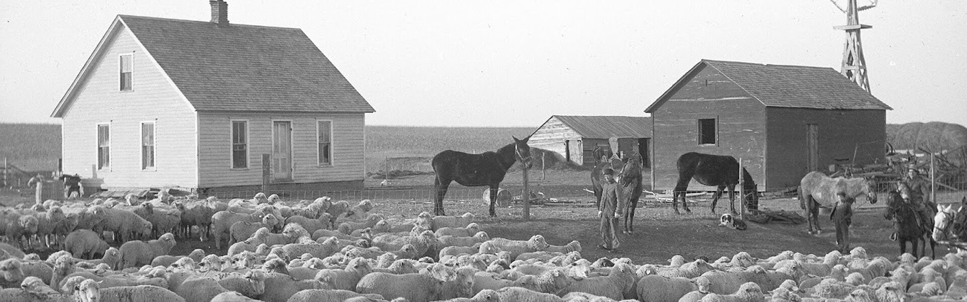 Landschaftlich reizvoll: Erard Wurster war Schafzüchter in den Dakotas